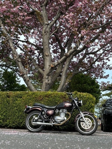 エストレヤ  レストア済み　自賠責1年付