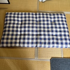 長座布団の画像