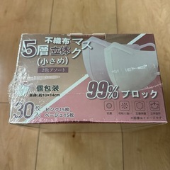 (説明追記あり)個包装 マスクの画像
