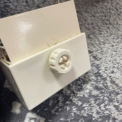 うさぎ牧草の画像