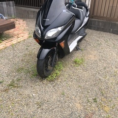 MF08の画像