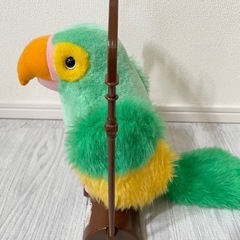 おしゃべりオウムパーロットの画像