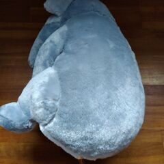 非売品 未使用・タグ付き シャクレルプラネット シャクレルBIGぬいぐるみ コアラの画像