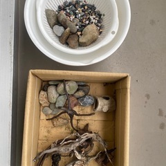 水槽セットの画像