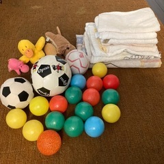 50円！古いタオル・ワンちゃんが遊べそうなおもちゃ（ボール・ぬい...
