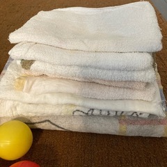 20円！古いタオル・ワンちゃんが遊べそうなおもちゃ（ボール・ぬいぐるみ）　の画像