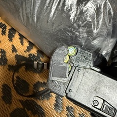 カメラの画像