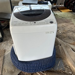 値下げ　
2024年製洗濯機の画像