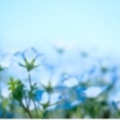 考えたくないことを話しませんか