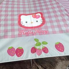 【未使用新品！】永遠のKittyちゃん🍓の画像