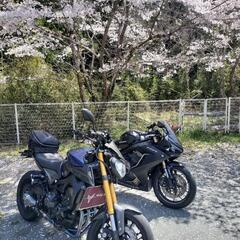 峠と峠を繋いで一緒走りませんか？