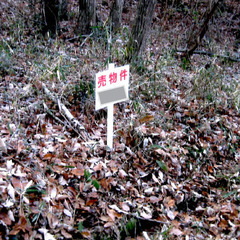 №I581【岡山県美咲町休石】山林1筆あげます！ − 岡山県
