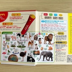 （取引中）★おしゃべりタッチペン付きはじめてのずかんの画像