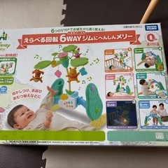 プーメリーの中古が安い!激安で譲ります・無料であげます プーメリーの中古が安い!激安で譲ります・無料であげます