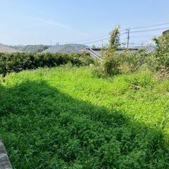 №J585【鹿児島県南さつま市加世田】更地の雑種地あげます！謄本上は宅地ですが接道の問題で家を建てるのは難しそうです。資材置き場や駐車場などにいかがでしょうか？ - 土地販売/土地売買