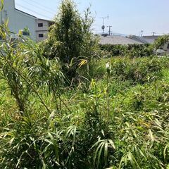 №J585【鹿児島県南さつま市加世田】更地の雑種地あげます！謄本上は宅地ですが接道の問題で家を建てるのは難しそうです。資材置き場や駐車場などにいかがでしょうか？ - 不動産