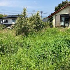 №J585【鹿児島県南さつま市加世田】更地の雑種地あげます！謄本上は宅地ですが接道の問題で家を建てるのは難しそうです。資材置き場や駐車場などにいかがでしょうか？ - 南さつま市