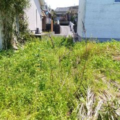 №J585【鹿児島県南さつま市加世田川畑】宅地1筆あげます！