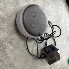 アレクサの画像