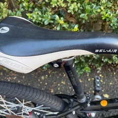 【ジャンク】部品取りにいかがですか？ルイガノの画像