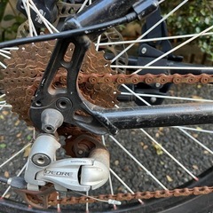 【ジャンク】部品取りにいかがですか？ルイガノの画像