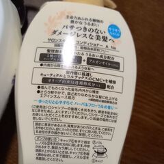 【未開封】　サロンスタイル　シャンプー&コンディショナー　　￥1,100の画像