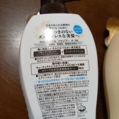 【未開封】　サロンスタイル　シャンプー&コンディショナー　　￥1,100の画像
