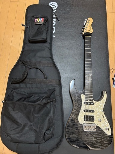 手渡しのみ！ギターG-MR-CTM(状態良し) GiGS4月号】Gear Navi. GrassRoots G-SN-CTM【試奏動画】 | ESP