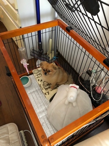 犬用ケージ