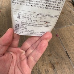 受け渡し者決定　コールマン　インフィニティチェア の画像