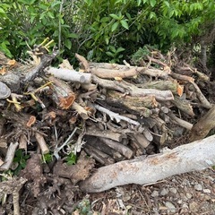 伐採による切れ端の画像