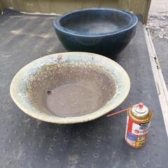 🪷睡蓮鉢を二鉢セット🐟の画像