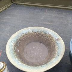 🪷睡蓮鉢を二鉢セット🐟の画像