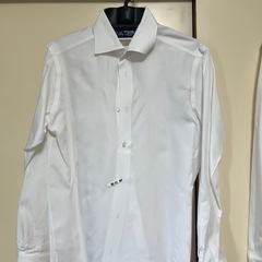 シャッツメンズの画像