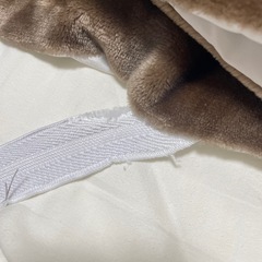 ニトリ 敷パット Ｎウォーム(セミダブル)の画像