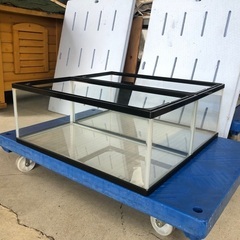【2点セット】らんちゅう水槽600（59.9×29.5×23cm...