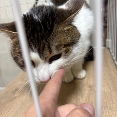 虎太郎くん　2歳