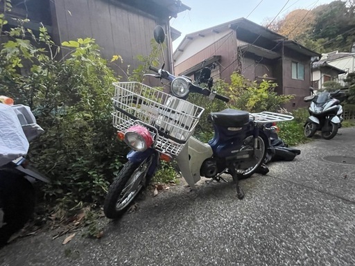 MAX. HN-65N3(D)-R. 新品未使用品 C99126979