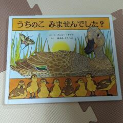うちのこみませんでしたか？
