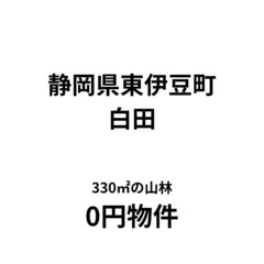 【静岡県東伊豆町】330㎡の山林、お譲りします。S-25-…