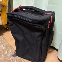 ソフトキャリーケースの画像