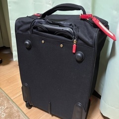 ソフトキャリーケースの画像