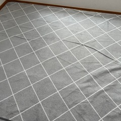 可愛いラグ　200×250