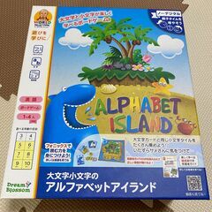 ラーニング リソーシズ アルファベット アイランド 大文字と小文字
