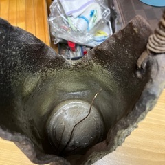 花瓶　生花の画像