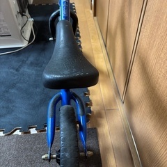 ストライダークラシック(メンテナンス品)の画像