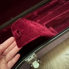 テナーサックス ケース C.Cシャイニー ケースの画像