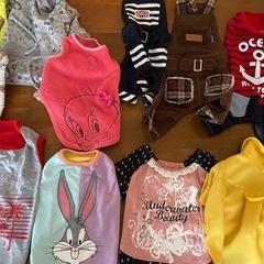 ペットの洋服　　犬
の画像