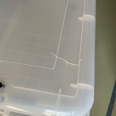 【決まりました】衣装ケース　2個の画像