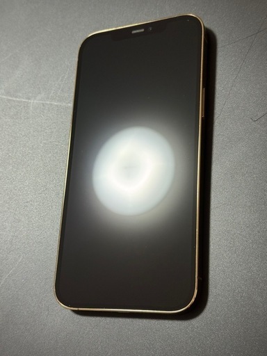 iPhone iPhone12 ProMax